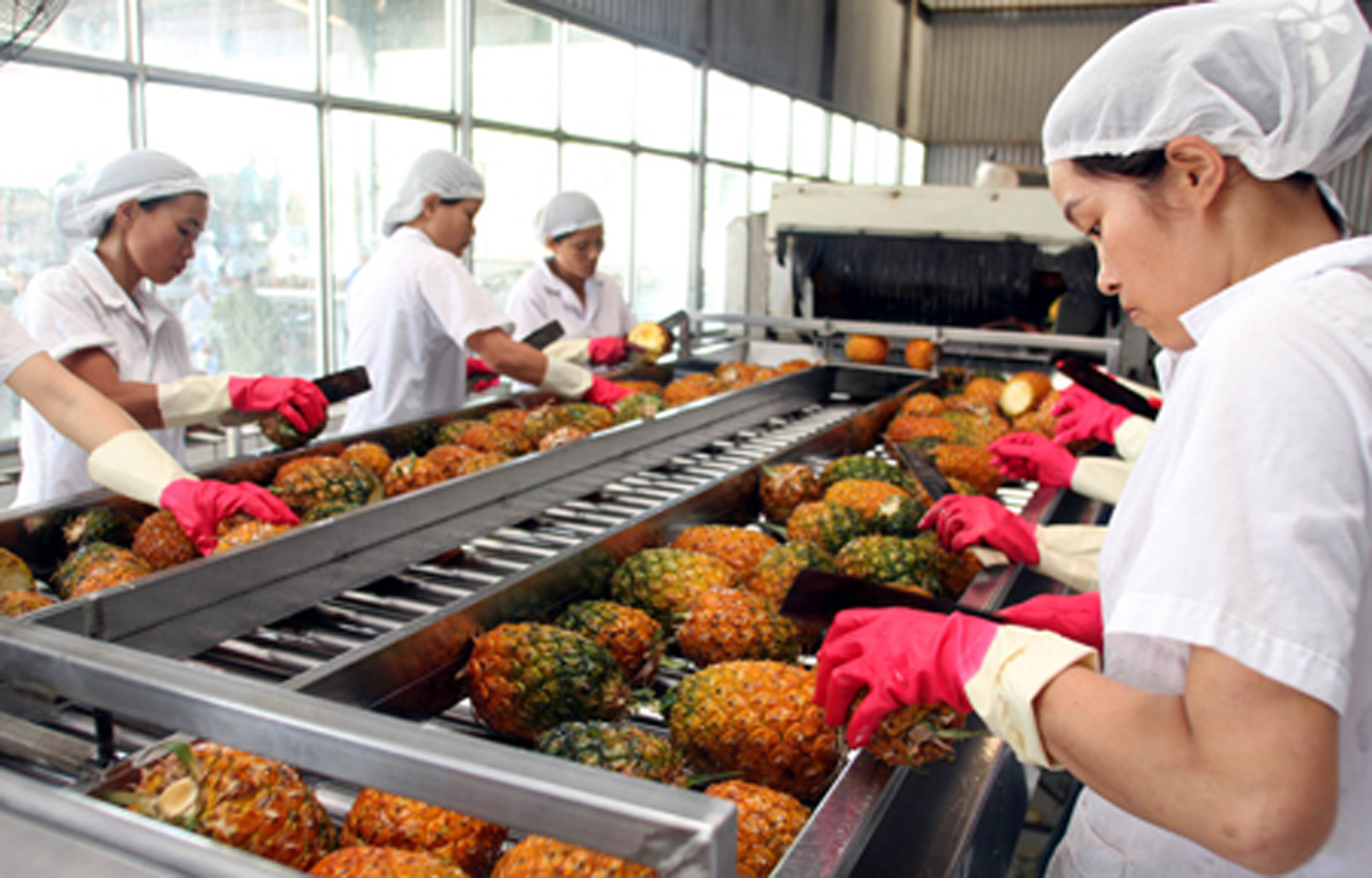 Thị trường EU có nhu cầu cao đối với các loại rau quả của Việt Nam