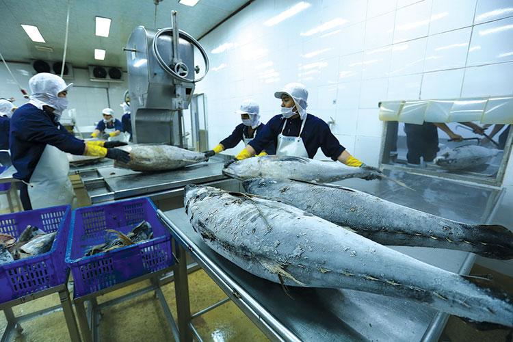 Việt Nam xuất khẩu cá ngừ sang Mỹ